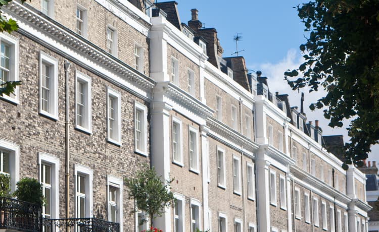 About Plaza Estates