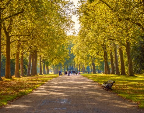 Hyde Park