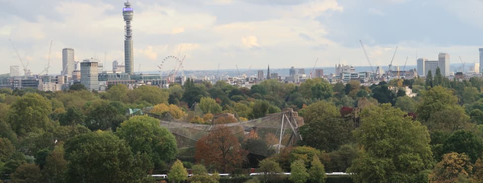 Primrose Hill