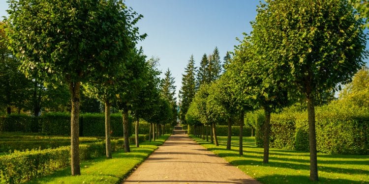 Hyde Park: Best Streets & Locations Guide