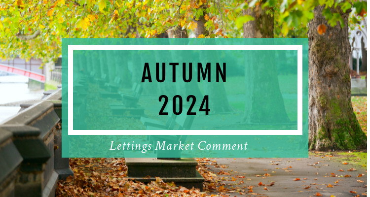 Lettings Market Comment Autumn 2024