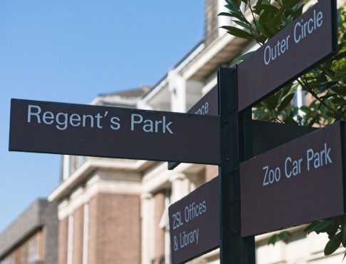 Living Near Regent’s Park: An Area Guide
