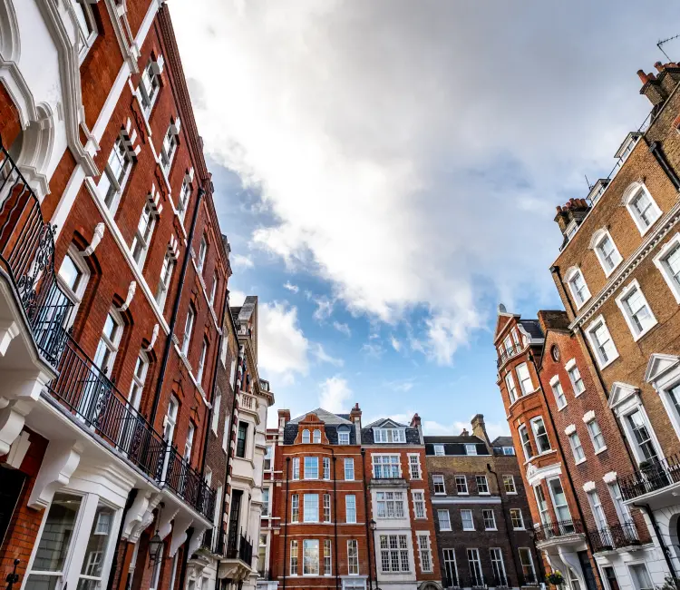 Plaza Estates - Marylebone