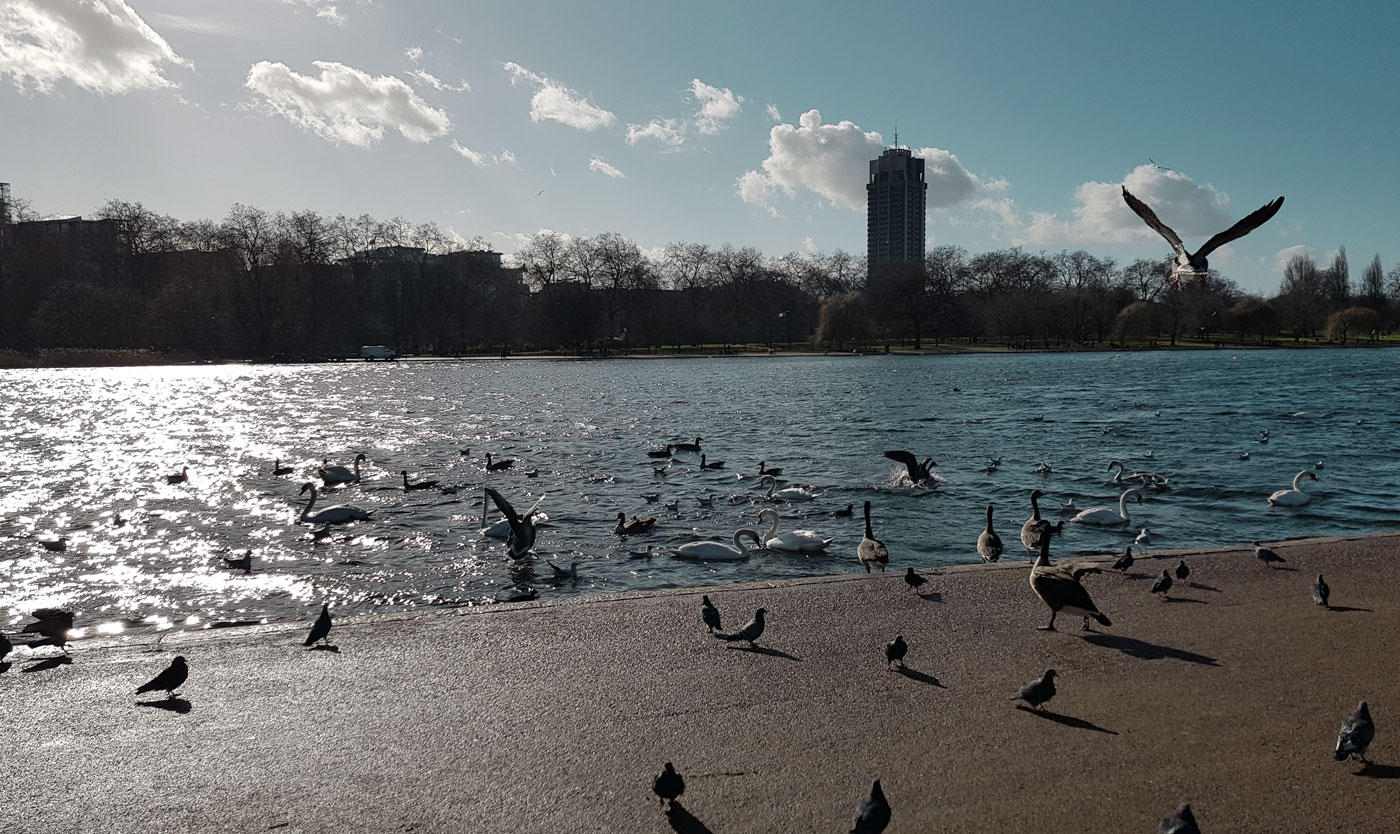 A Guide to Hyde Park