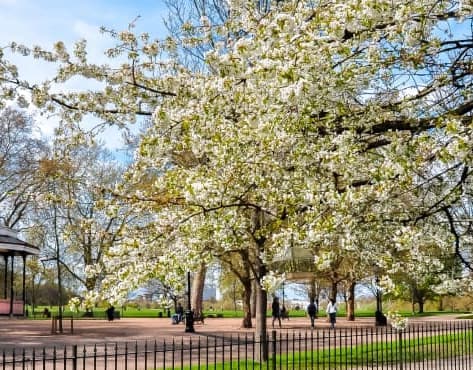 Regents Park