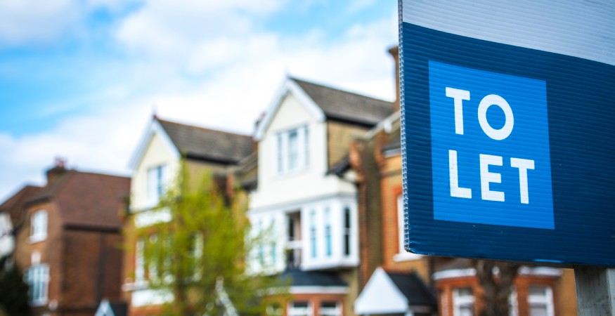 Renters Reform Bill Means Landlord Pet Bans Could be a Thing of the Past